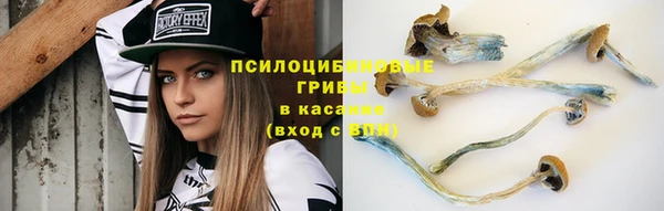 спиды Домодедово
