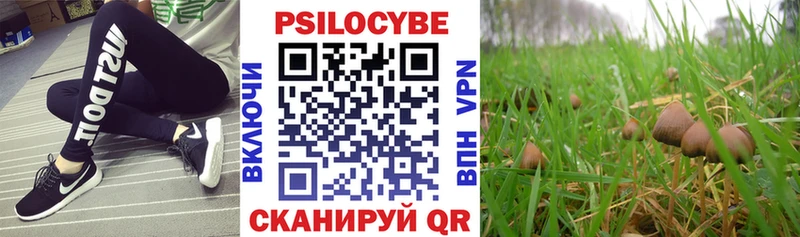блэк спрут ТОР  Донецк  Псилоцибиновые грибы Cubensis 
